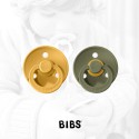 Pack 2 Bibs Honey Bee - Olive